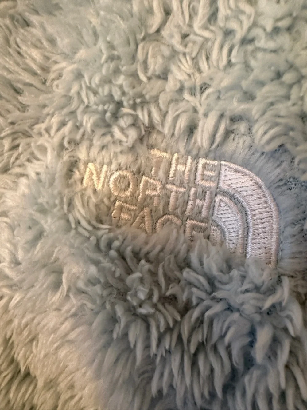 The North Face Kids Light Blue Plush Zip Hoodie
